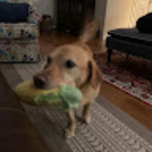 Meet your Posher, Jack